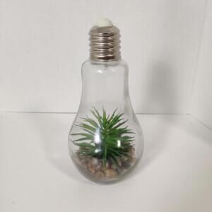Light Bulb Glass Terrarium with Faux Succulent Miniature Desk Decor Bohemian